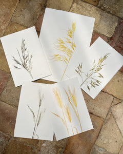 Unique plant prints on handmade paper