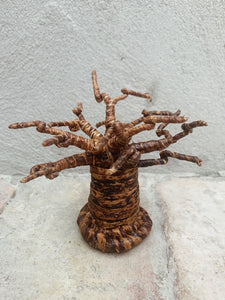 Baobab tree, mini