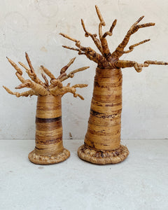 Baobabträd, mindre