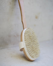 Load image into Gallery viewer, Bath brush with removable handle
