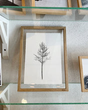 Ladda upp bild till gallerivisning, Unika växtryck på handgjort paper

