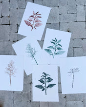 Load image into Gallery viewer, Unique plant prints on handmade paper
