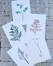 Load image into Gallery viewer, Unique plant prints on handmade paper
